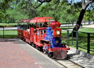 Ile dziedziczy żona po śmierci męża?