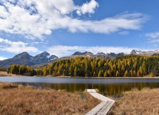 Czy liceum i studia liczą się do stażu pracy? Czy liceum i studia liczą się do stażu pracy?
