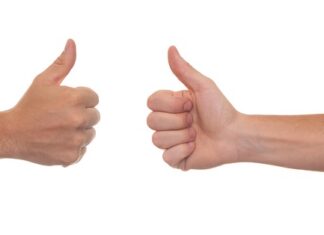 Ile można hodować kur bez pozwolenia? Ile można hodować kur bez pozwolenia?