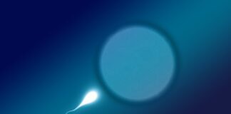 Czy plemniki mogą przejść przez majtki?