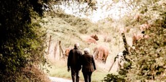 Czy warto przejść na emeryturę i dalej pracować?