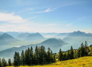 Czy komornik może zająć samochód żony za długi męża? Czy komornik może zająć samochód żony za długi męża?