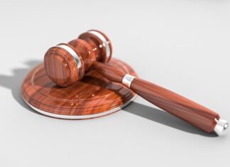 Jaka jest kara za puszczanie psa bez smyczy? Jaka jest kara za puszczanie psa bez smyczy?