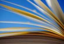 Jak odczytać obrączkę bociana?