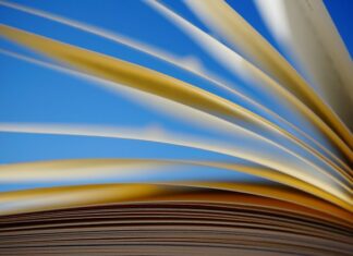 Jak odczytać obrączkę bociana? Jak odczytać obrączkę bociana?