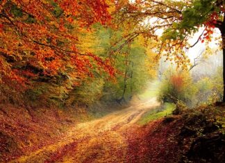 Jaka jest kara za niezgłoszenie spadku? Jaka jest kara za niezgłoszenie spadku?