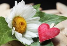 Jak dzielimy zaciski hamulcowe? Jak dzielimy zaciski hamulcowe?