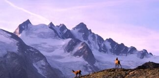 Gdzie na trekking w Polsce?