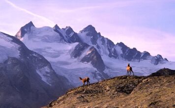 Gdzie na trekking w Polsce? Gdzie na trekking w Polsce?