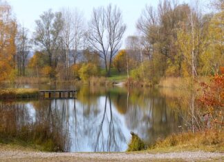 Jaka wędka na okonia? Jaka wędka na okonia?